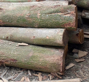 Estacas de eucalipto versátiles de 3m de largo, varios diámetros de 6cm a 10cm para suministros de jardín - Product Image 3