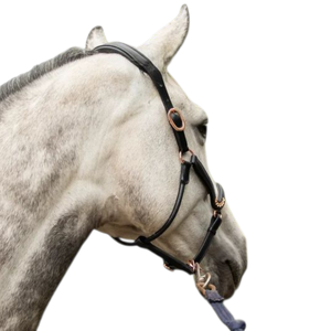 Nouvelle vente en gros d'usine, collier de tête de cheval en cuir anglais personnalisé, de haute qualité, réglable et confortable, pour l'équitation - Product Image 2