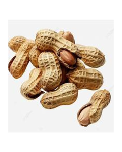 SUPPORT IMMUNITAIRE CONGELÉ ARACHIDES BOUILLÉES À PARTIR D'INGRÉDIENTS PROPRES ET DE TERMINALIA CATAPPA LEAF INSPIRATION - Product Image 1