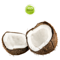 Meilleure noix de coco séchée du Vietnam à chair épaisse, 100% naturelle, complément parfait pour les compotes de fruits tropicaux