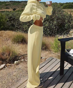 Survêtement unisexe personnalisé, uni, style hip-hop, poids lourd, 100% coton, essentiel, style court, 500 g/m², vêtements, survêtement - Product Image 2