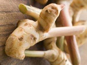 Cocineros de picardías amarillo, ingredientes de raíces de galangal, buena calidad - Product Image 3