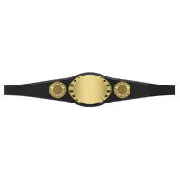 Ceinture de championnat de lutte Ronpex de haute qualité, 100% coton, 140g, séchage rapide, design personnalisé, arts martiaux mixtes, unisexe, logo personnalisé