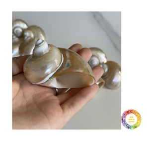 Porte-serviettes en coquille de mer marron doré en spirale pour décor de table de mariage côtier élégant - Product Image 3