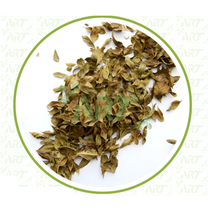 Lawsonia inermis ใบเฮนน่า mehendi patta meadi patte heena สมุนไพรดิบแห้งขายส่งพืชสกัดสมุนไพร - Product Image 2