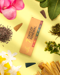 2024 nuevo Ispalla 7 días renovación Palo Santo reflujo conos de incienso aromas mixtos cítricos leñoso dulce incienso Natural Perú madera - Product Image 1