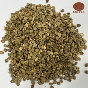 Vietnam Origin Natural Dry Arabica Green <b>Coffee</b> <b>Beans</b> S18 for Vietnam <b>Coffee</b> Direct From Vietnam Farm Bulk Supply - Product Image 1