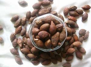 Ms psophilie — écrou malva séché de meilleure qualité, livraison rapide - Product Image 4