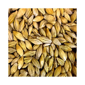 Grano de cebada al por mayor disponible en envases a granel listos para exportación - Product Image 5