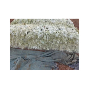 Fibra de Sisal de exportación a granel en forma de secado al sol Característica ignífuga Precios al por mayor - Product Image 4