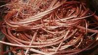 Fil de cuivre de haute qualité 99,99 %, déchets de cuivre vierges et brillants, bobines de cuivre modèle 74081900 pour le recyclage