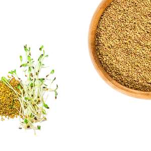 หญ้าชนิต | อาหารโภชนาการสำหรับการผลิตนมเพื่อสุขภาพ - Product Image 2