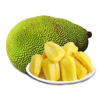 Gedroogde Jackfruit Chips Goede Kwaliteit Gedroogde Jackfruit Chip Vacuüm Gebakken Jackfruit Knapperig