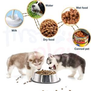 Vente en gros de gamelles écologiques pour chiens avec logo personnalisé en caoutchouc antidérapant simple en acier inoxydable multi-impressions pour l'alimentation des animaux de compagnie résistants aux chutes - Product Image 6