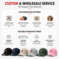 Gorra de Béisbol Premium de Gamuza con Rayo Bordado, Estilo Dad Hat, Gris, Tela Suave, Estética Urbana, Personalizable