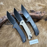 Couteau de poche pliable EDC avec lame en acier 14C28N recouverte de noir, couteau de survie compact pour le camping en plein air, manche en G10