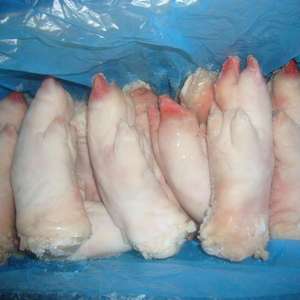 Top Grade Frozen <b>Pork</b> Hind Feet For Sale - Product Image 4