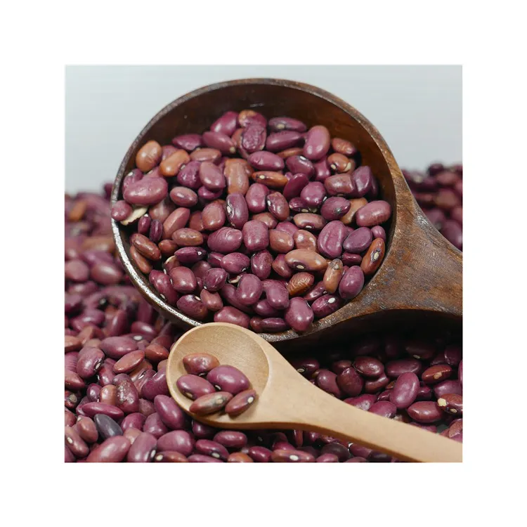 Red Kidney Beans Wholesale Dried Dark Red Kidney Bean For Sale