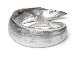 Poisson ruban congelé de haute qualité FD faible en glucides 550-650g entier rond emballé sous vide qualité d'exportation pour les poissons les plus savoureux - Product Image 2