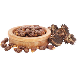 Precio al por mayor, semillas de ricino orgánicas secas, productos agrícolas de alta calidad, existencias a granel disponibles directamente del proveedor de la India - Product Image 1