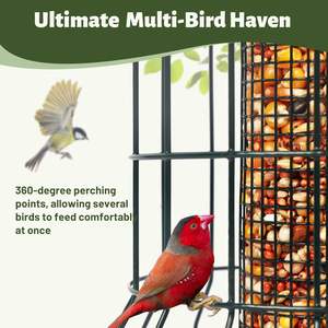 बाहरी सर्दियों के उपयोग के लिए गिलहरी-प्रूफ धातु पक्षी फीडर पर्यावरण के अनुकूल दीवार-माउंटेड डिजाइन पक्षियों के लिए बीज रखती है - Product Image 3