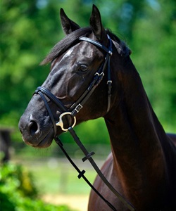 Snaffle Bridle Horse Snaffle Leather Brida Diseño personalizado Precio barato Venta al por mayor Horse Snaffle Leather Brida - Product Image 4