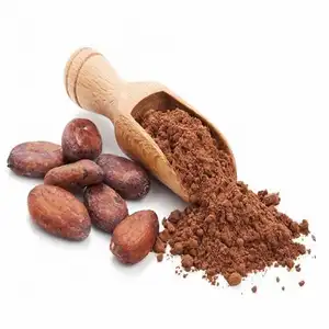 Cacao in polvere di cioccolato marrone scuro naturale e alcalinizzato/polvere di cacao naturale/polvere di cacao alcalinizzata