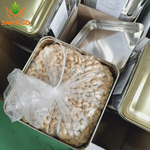 ถั่วเม็ดมะม่วงหิมพานต์ดิบ WW240 WW180จากเวียดนามซานติโก - Product Image 3