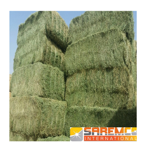 Vente directe d'aliments pour animaux à foin d'herbe jaune de Rhodes pour bétail cheval et porc - Product Image 4