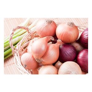 Prix de gros Oignons rouges frais naturels Stock en vrac disponible à la vente - Product Image 1