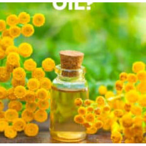 Aceite esencial de tanaceto azul puro 100% Aceite esencial de tanaceto azul al por mayor Aceite esencial de tanaceto azul natural y puro - Product Image 1