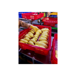 Orgánica IQF congelado Durian pura carne de Durian sin aditivos, sin semillas, rica textura cremosa, envasado al vacío, 24 meses de vida útil - Product Image 3