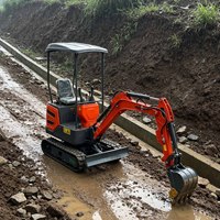 Mini-excavatrice hydraulique pour creusement de fossés et plantation de semis