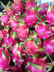 ผลไม้มังกรสดปลูกในเวียดนามพร้อมส่งทางทะเลและทางอากาศ - Product Image 4