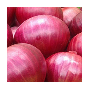 Oignon frais pelé rouge de qualité supérieure, vente en gros en vrac, qualité supérieure, usine directe, propre et frais, parfait pour les acheteurs du monde entier - Product Image 6