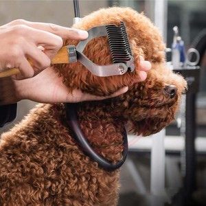 Pet Dematting Comb for Dogs and Cats with <b>Wood</b> Handle\Deshedding Undercoat Rake for Dogs with Stainless Steel Blades - Product Image 4