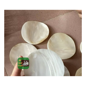 VENTE EN GROS PLATEAU DE COQUILLE DE NACRE DÉCORATIF AVEC CADRE EN MÉTAL POUR LES FÊTES DE LUXE ET LES CADEAUX - Product Image 6