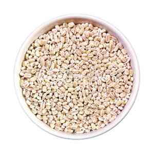 Cebada Malteada Perlada Seca 100% Pura de Alta Calidad de la UE, Mejor Precio para Compra al por Mayor, Entrega Rápida - Product Image 5