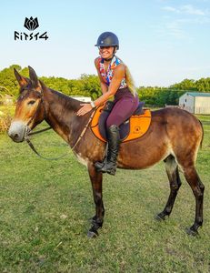 Nouveau design Leggings équestres culottes d'équitation pantalons d'équitation ajustés pantalons équestres pour femmes Jodhpur et culottes - Product Image 6