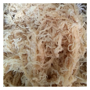 La opción inteligente para los importadores es el musgo de algas marinas de Vietnam; garantizamos un suministro constante de Nuestro musgo de algas marinas - Product Image 6