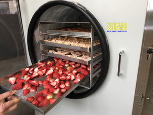 ผลิตภัณฑ์ทางการเกษตรผลไม้ FD สตรอเบอร์รี่อบแห้ง - Product Image 6