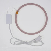 Module de transmission d'énergie sans fil longue portée Taidacent 220V 60W pour lampe à lévitation magnétique LED