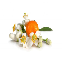 Minyak Esensial Neroli Laris Manis 100% Murni Citrus Aurantium Produsen Grosir Bersertifikat Organik Kelas Kosmetik Eksportir Global