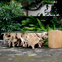 Table basse extensible en racine de teck artisanale, pièce maîtresse naturelle unique pour salons, mobilier de salon écologique