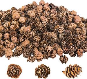 Pinecone Natural en precio al por mayor Pinecone Decoración navideña para decoración de habitaciones y fiestas - Product Image 6