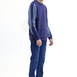 Service OEM Fabriqué en Chine Sweatshirts pour hommes de haute qualité Vente en gros Sweatshirts basiques Sweatshirts de dernière génération - Product Image 3