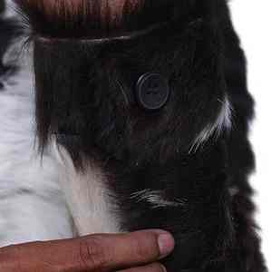 Mode hommes vestes en cuir couleur unie fermeture éclair Faux cuir décontracté PU veste pour hommes vache cheveux veste sur mesure - Product Image 3