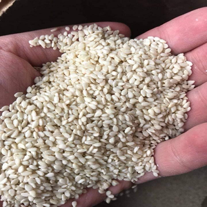 เมล็ดงาธรรมชาติสีขาวเมล็ดงาสดแห้งแบบธรรมชาติผลิตภัณฑ์ทางการเกษตร - Product Image 1