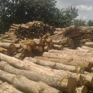 Premium Teak Wood Round <b>Logs</b> Tectona Grandis Natural Hardwood Bulk Export West Africa FOB - Product Image 5
