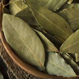 Feuilles de corossol séchées bon prix un produit de protection de la santé du Vietnam - Product Image 3